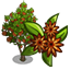  turmeric icon